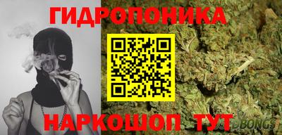 дживик Лесосибирск