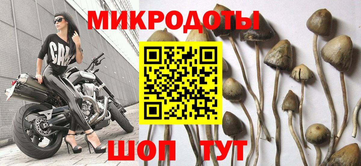 Галлюциногенные грибы GOLDEN TEACHER  Вход с VPN  Городец 
