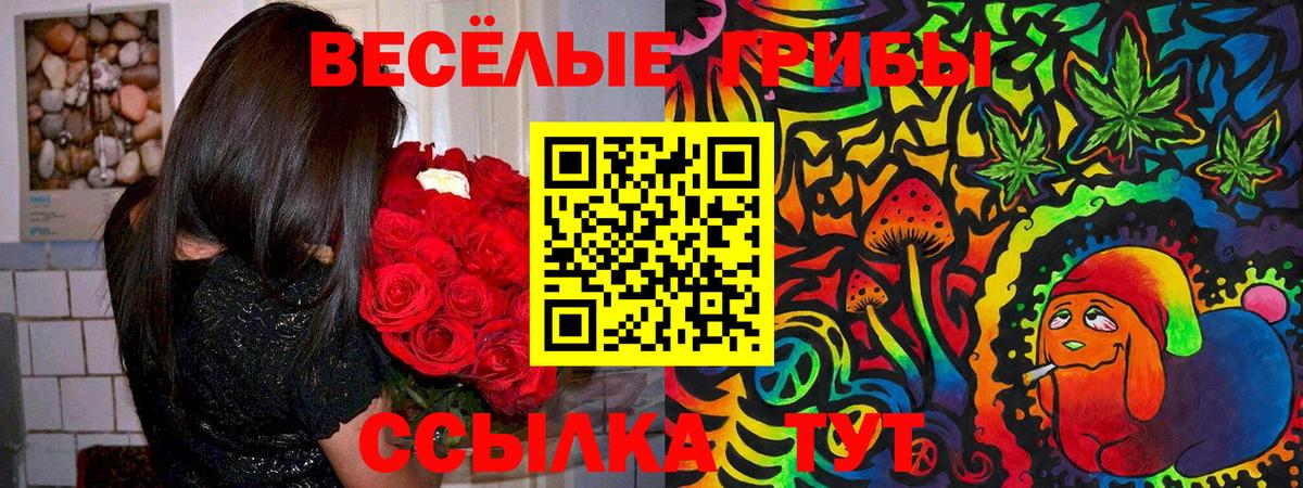 Галлюциногенные грибы Psilocybine cubensis Городец